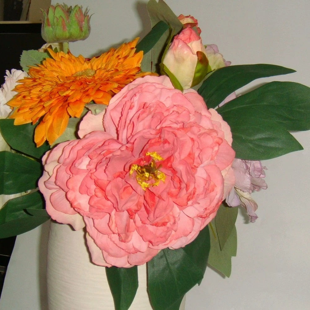 📀 LUXE GOLD Sony Cyber-shot DSC-T700 // English Menu ✨ 4GB Internal Memory