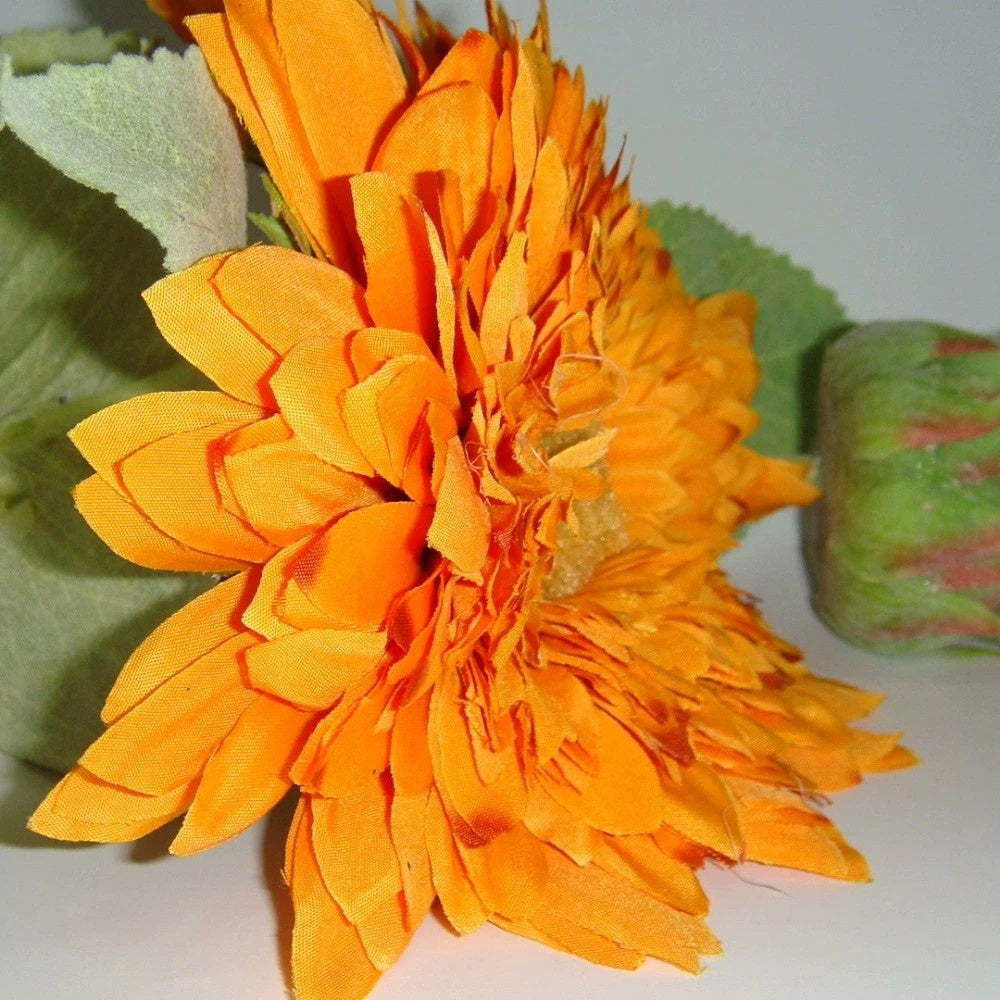 📀 LUXE GOLD Sony Cyber-shot DSC-T700 // English Menu ✨ 4GB Internal Memory